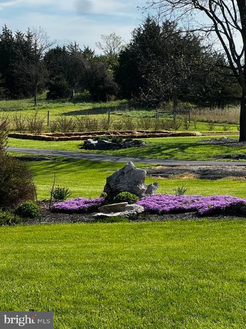 16621 Lappans Road Williamsport, MD 21795 - Photo 13 of 19 Frame this photo!