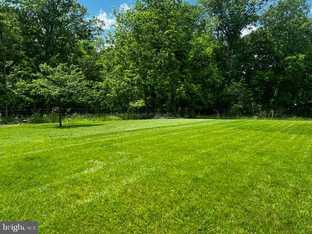 16621 Lappans Road Williamsport, MD 21795 - Photo 15 of 19 Pasture