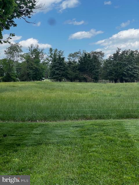 16621 Lappans Road Williamsport, MD 21795 - Photo 16 of 19 Privacy with mature trees