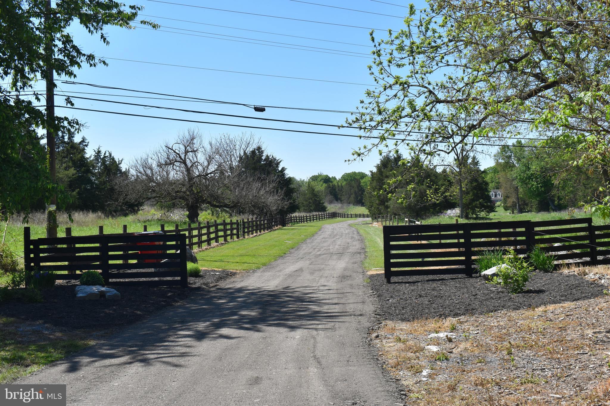 16621 Lappans Road Williamsport, MD 21795 - Photo 2 of 79 The Homestead awaits you!!