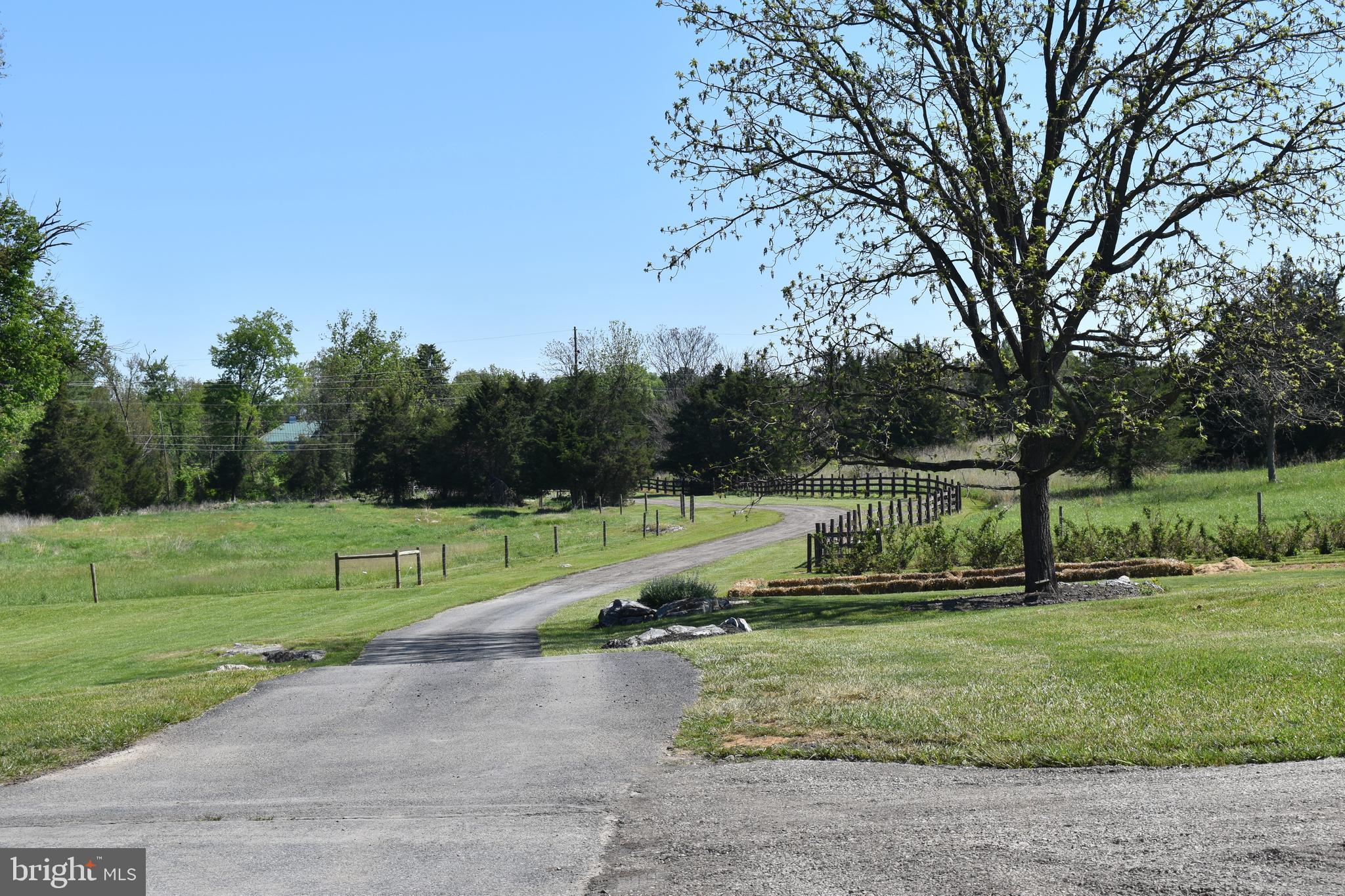 16621 Lappans Road Williamsport, MD 21795 - Photo 3 of 79 a view of a park with large trees