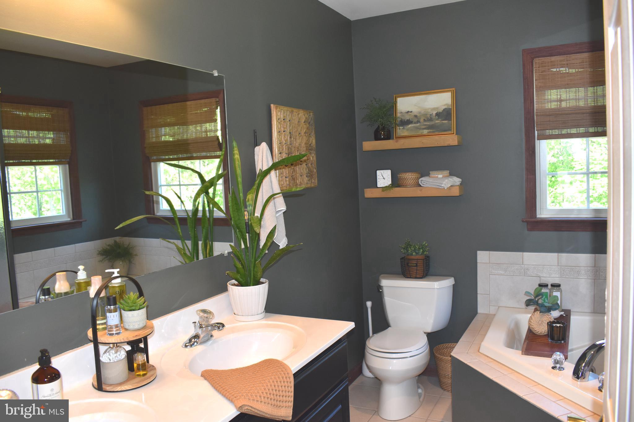 16621 Lappans Road Williamsport, MD 21795 - Photo 39 of 79 Adjoining primary bathroom with jetted tub
