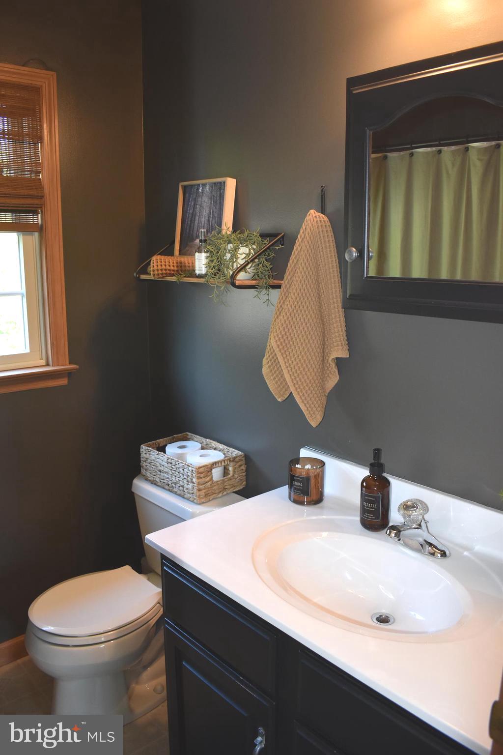 16621 Lappans Road Williamsport, MD 21795 - Photo 40 of 79 a bathroom with a sink and a toilet
