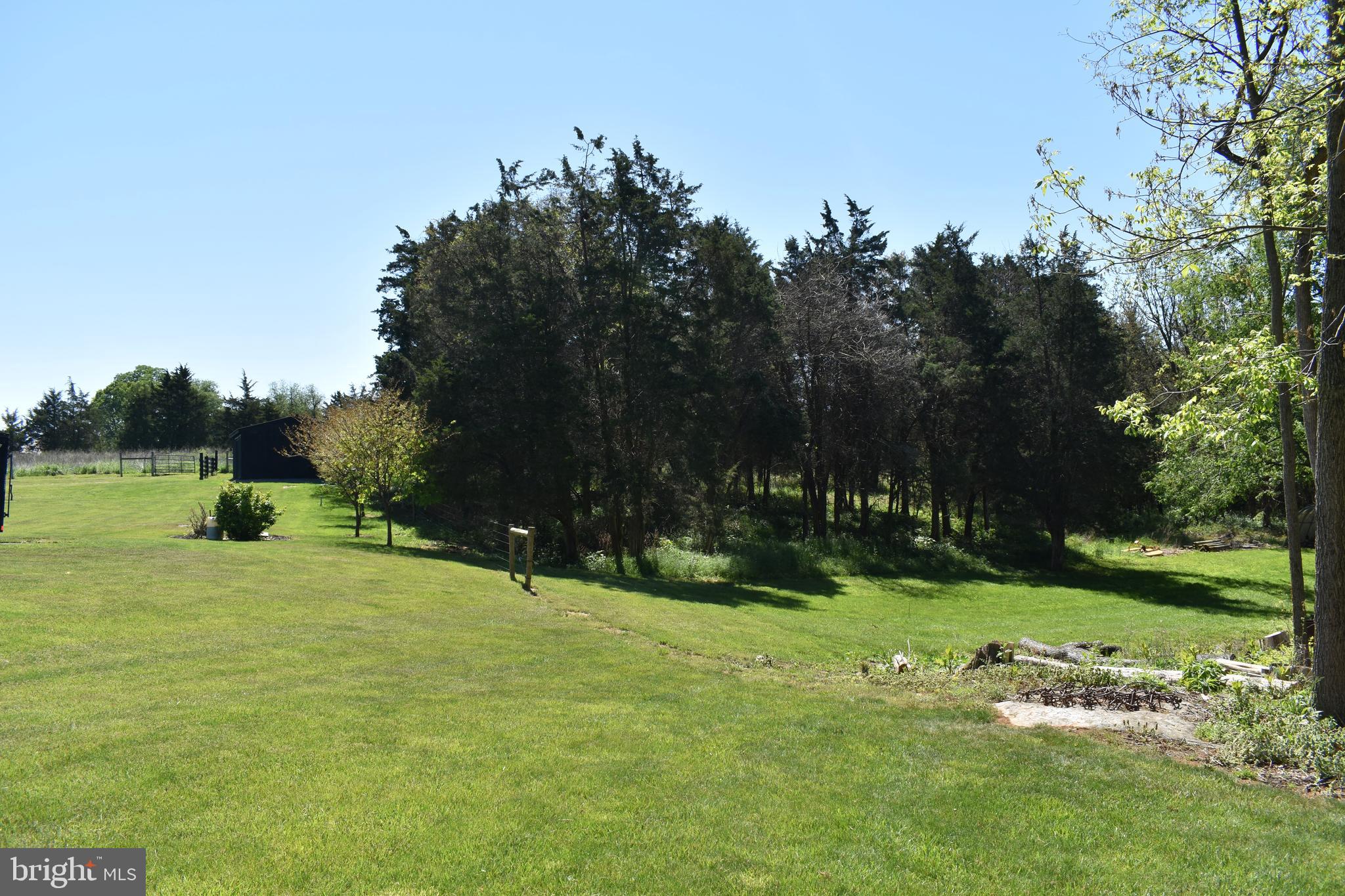 16621 Lappans Road Williamsport, MD 21795 - Photo 71 of 79 a view of a park with large trees