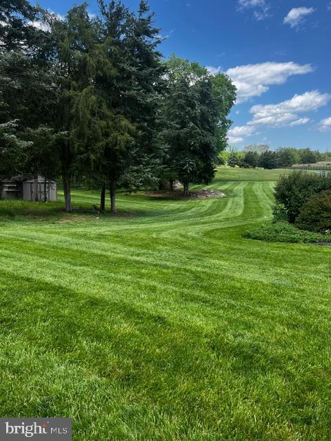 16621 Lappans Road Williamsport, MD 21795 - Photo 8 of 19 Maintained landscaping too