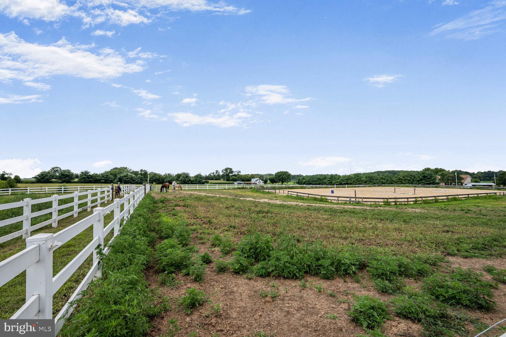 230 Point Airy Road Pilesgrove, NJ 08098 - Photo 77 of 78 a view of lake with green space