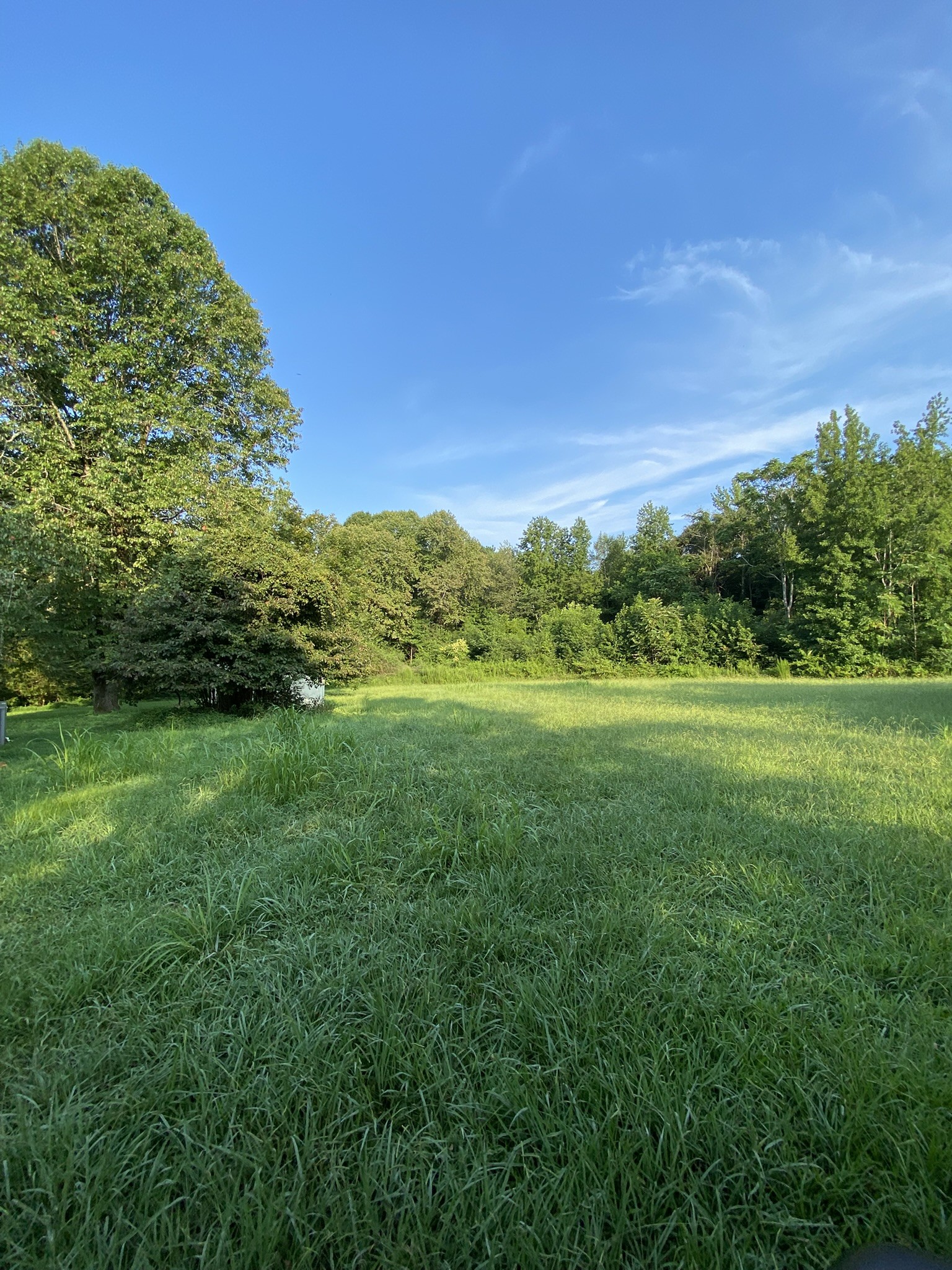 972 Fall River Road Goodspring, TN 38460 - Photo 11 of 31 a view of a green field with grass and trees