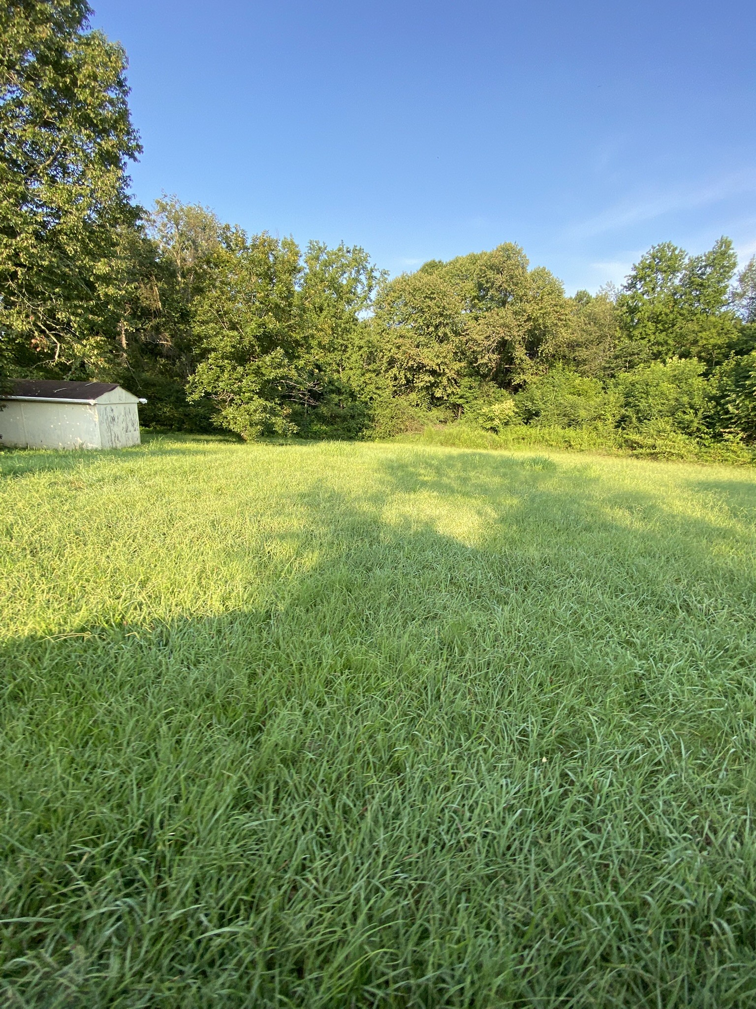 972 Fall River Road Goodspring, TN 38460 - Photo 12 of 31 a view of a field with an ocean