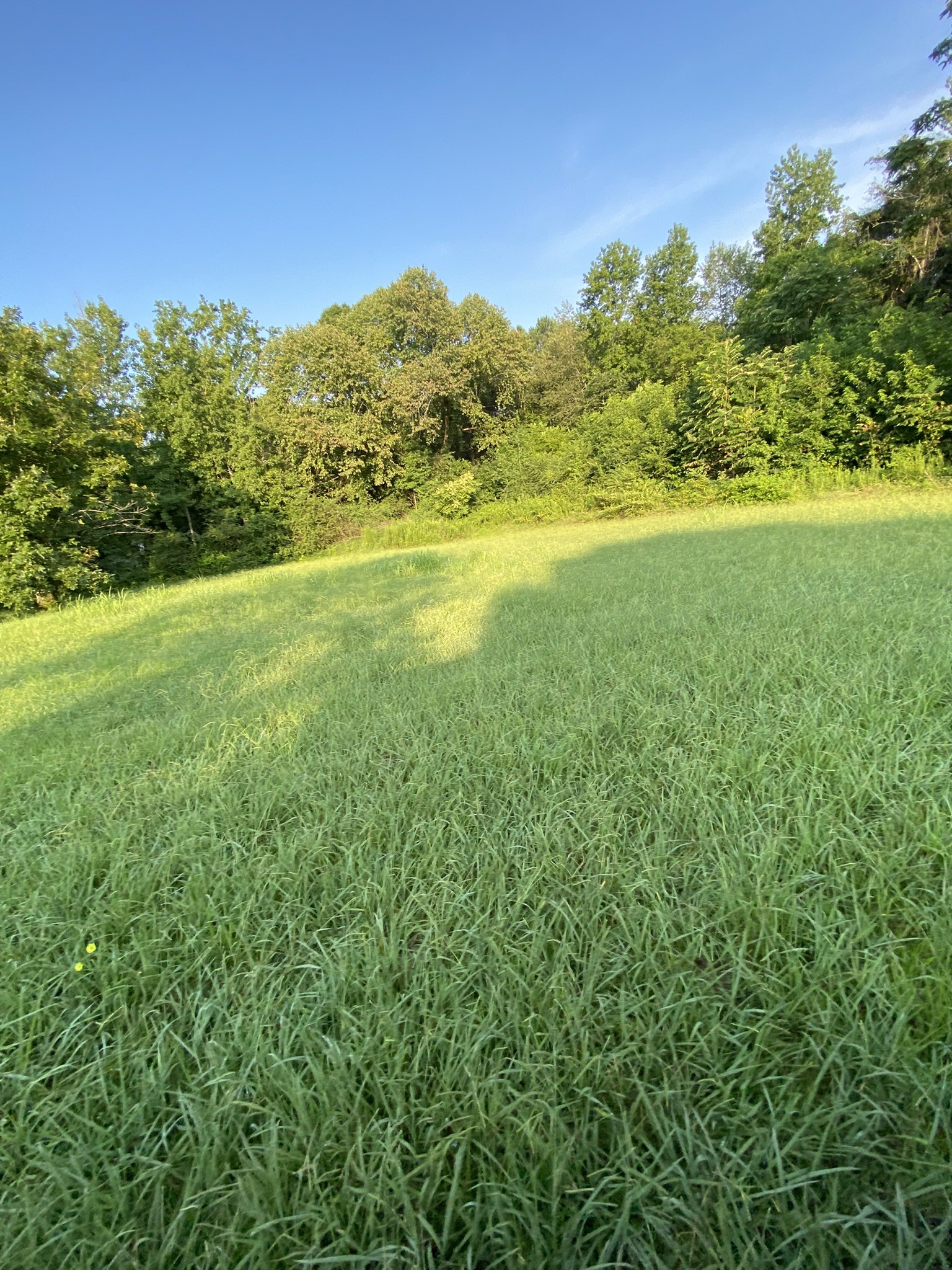 972 Fall River Road Goodspring, TN 38460 - Photo 13 of 31 a view of yard with an ocean