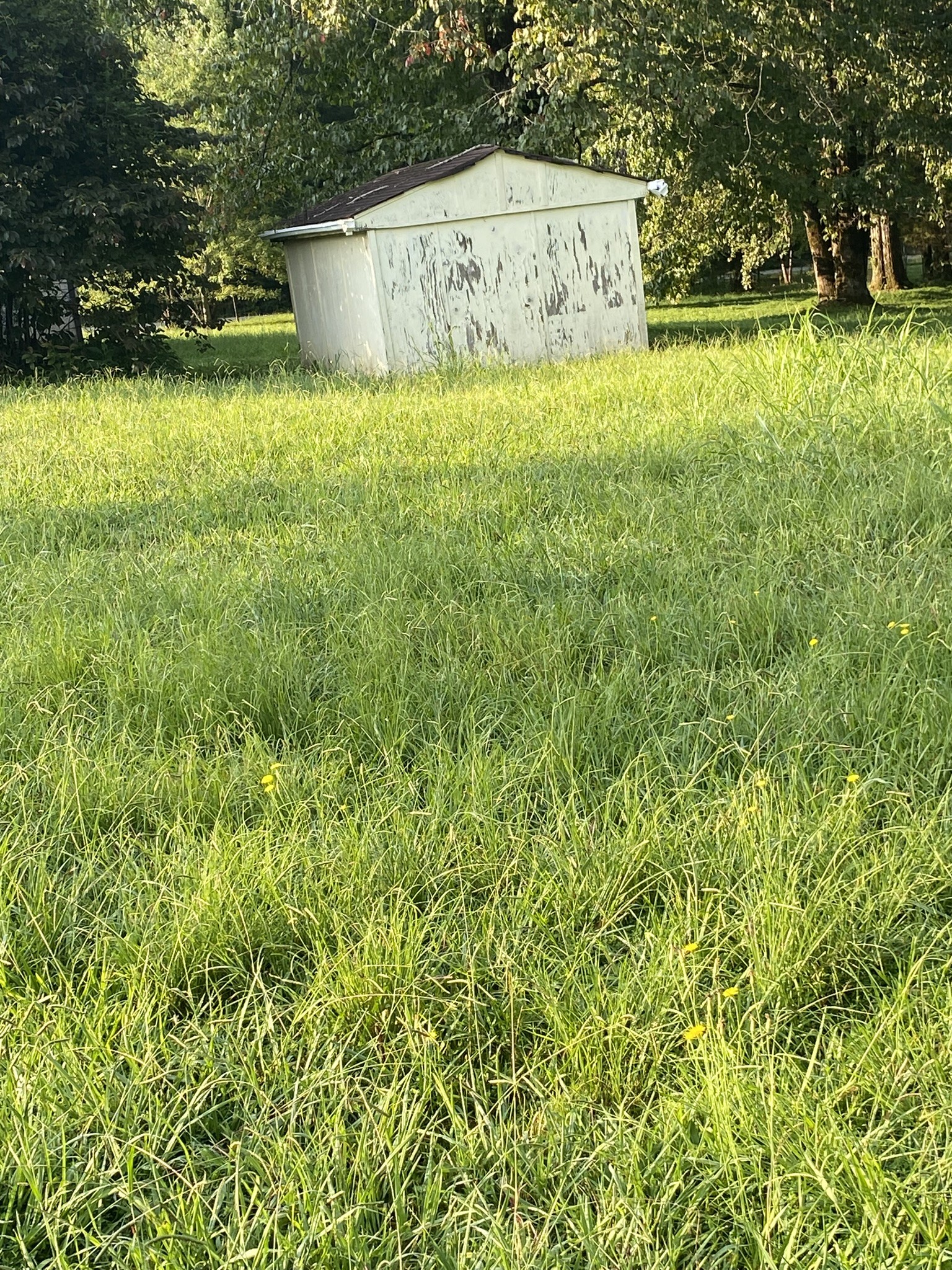 972 Fall River Road Goodspring, TN 38460 - Photo 14 of 31 a view of yard with swimming pool and green space