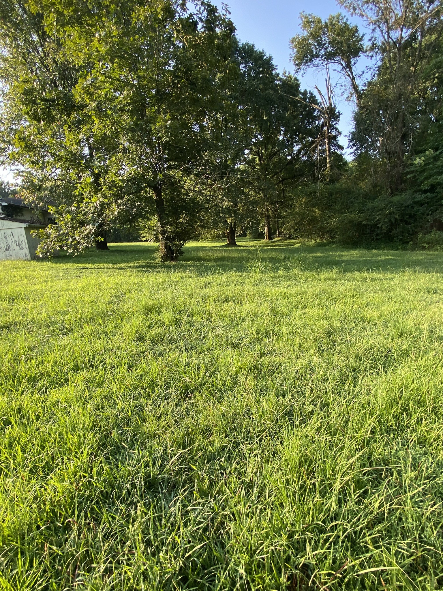 972 Fall River Road Goodspring, TN 38460 - Photo 16 of 31 a view of outdoor space with deck and trees