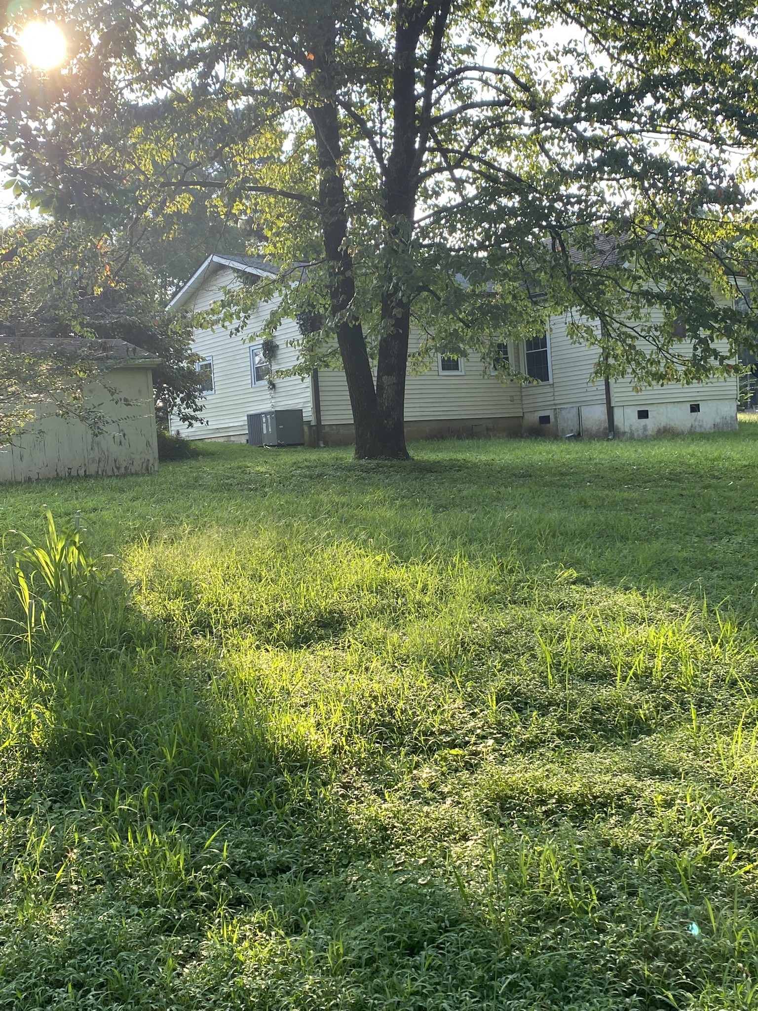 972 Fall River Road Goodspring, TN 38460 - Photo 18 of 31 a view of outdoor space and yard