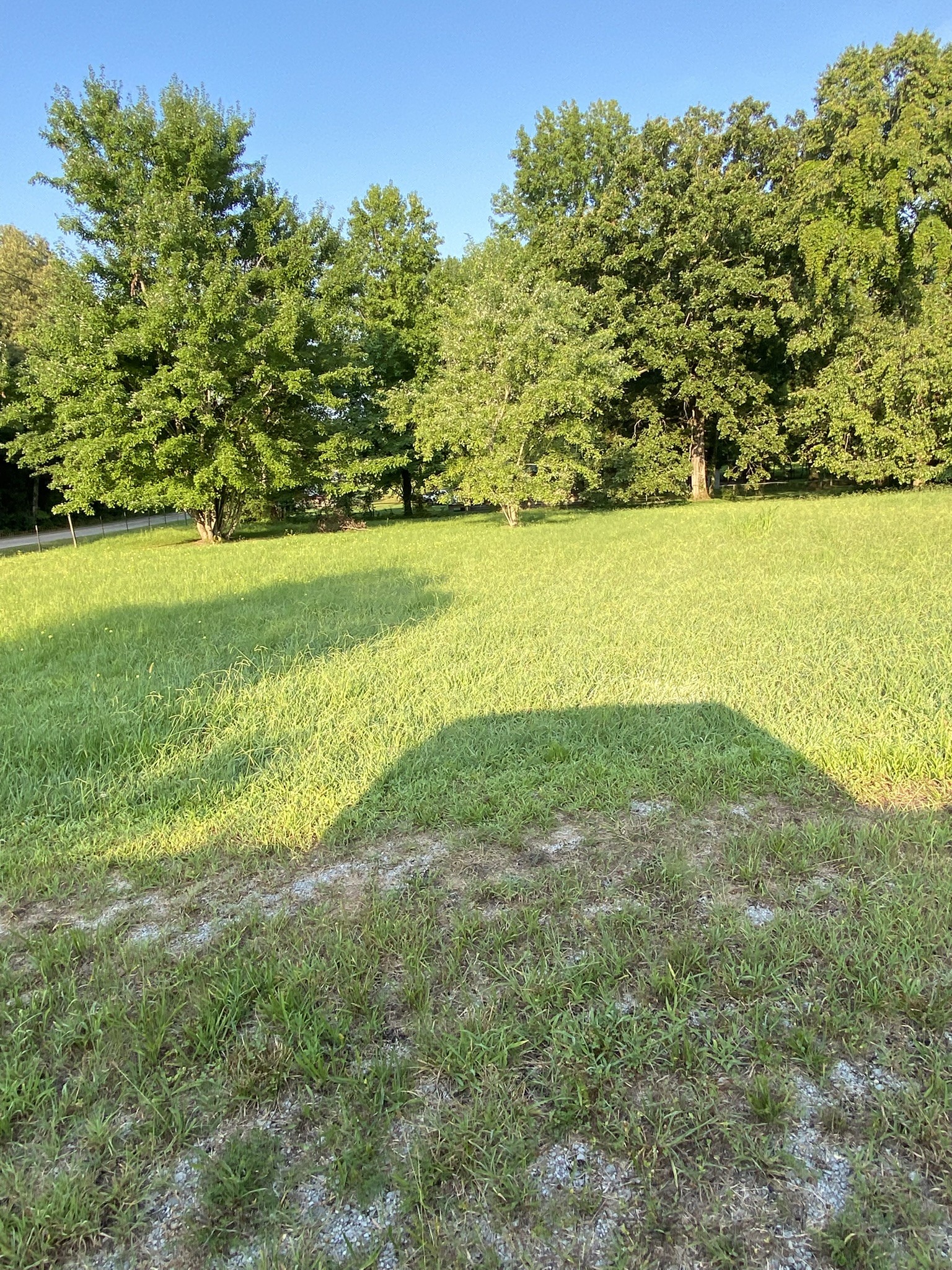 972 Fall River Road Goodspring, TN 38460 - Photo 8 of 31 a view of an outdoor space and a yard