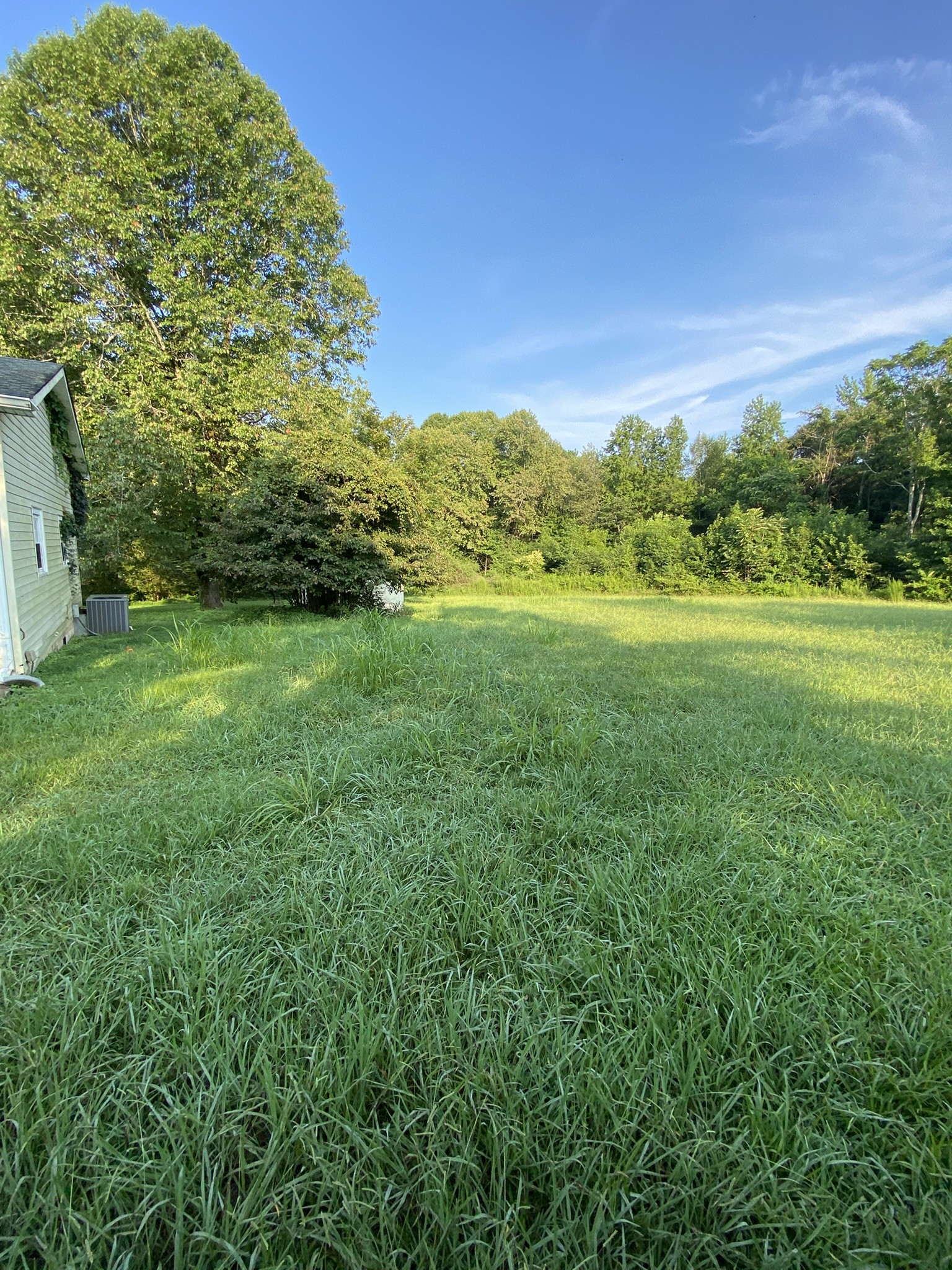 972 Fall River Road Goodspring, TN 38460 - Photo 10 of 31 a view of an outdoor space and a yard