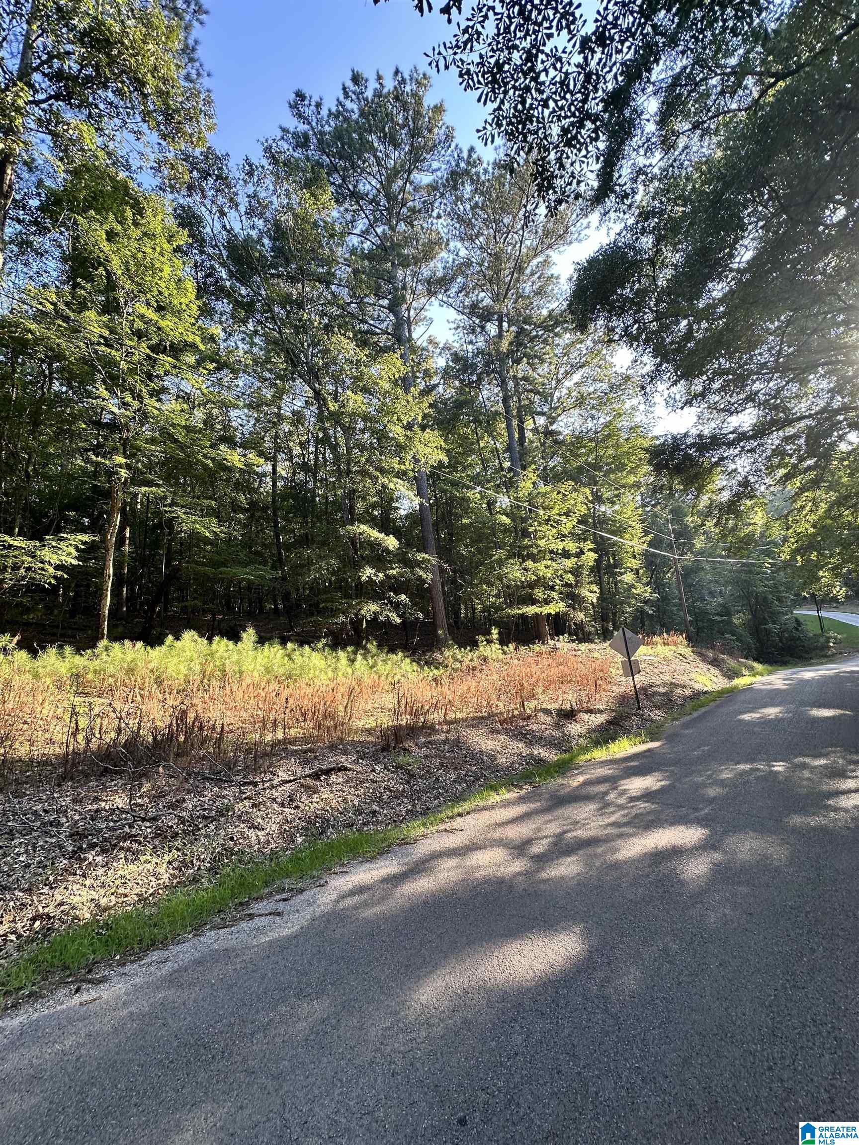 500 Black Acres Road, Unit 27 Cropwell, AL 35054 - Photo 18 of 25