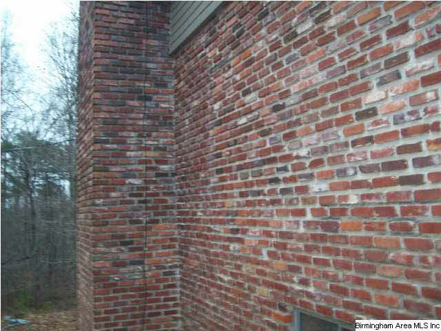 16764 Groundhog Road Adger, AL 35006 - Photo 3 of 29