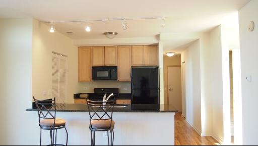 974 West 35th Place, Unit 601 Chicago, IL 60609 - Photo 3 of 16
