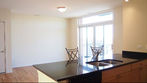 974 West 35th Place, Unit 601 Chicago, IL 60609 - Photo 5 of 16