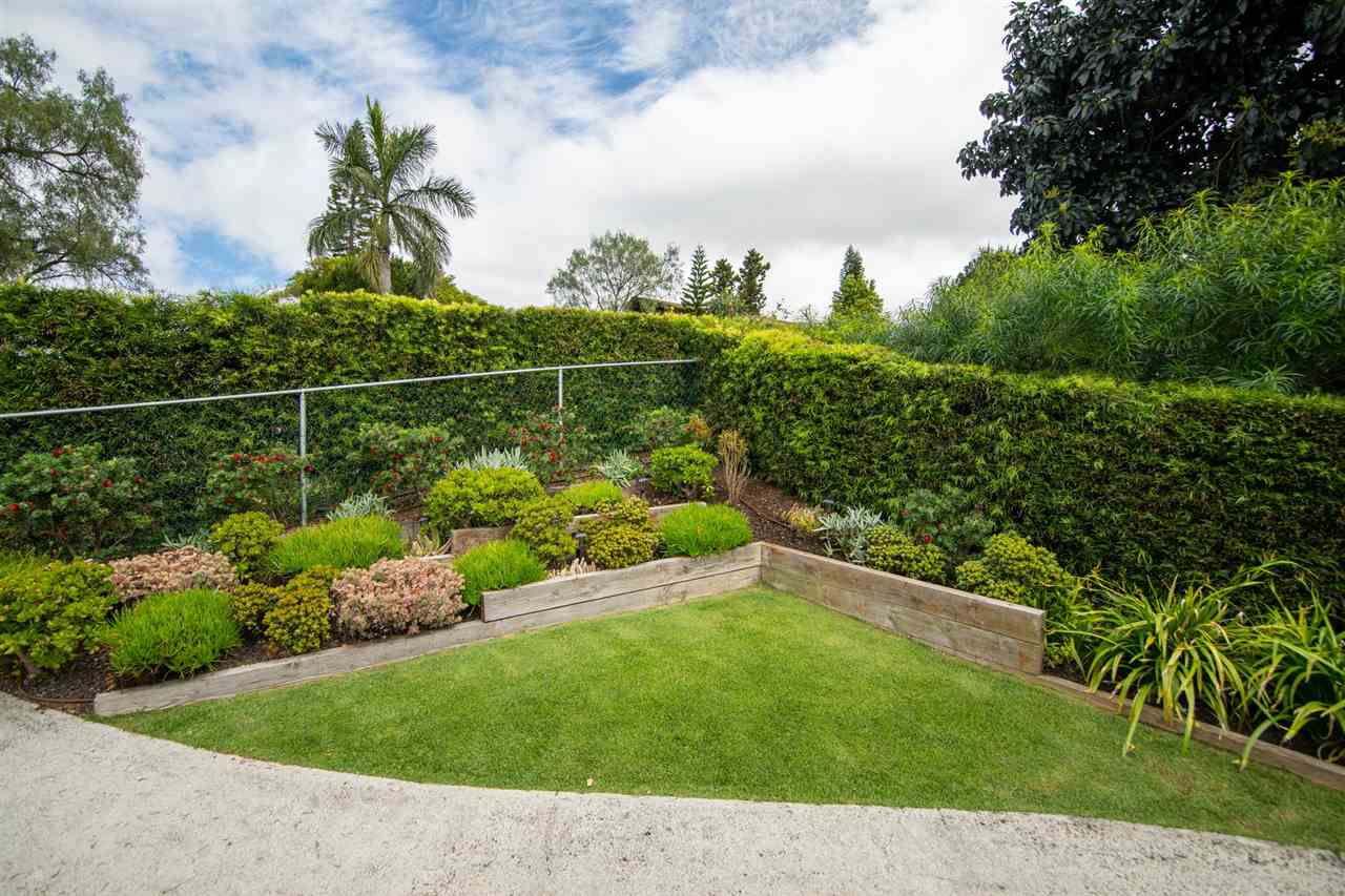 78 Ka Drive, Unit 1 Kula, HI 96790 - Photo 26 of 28 a view of a garden with a bench