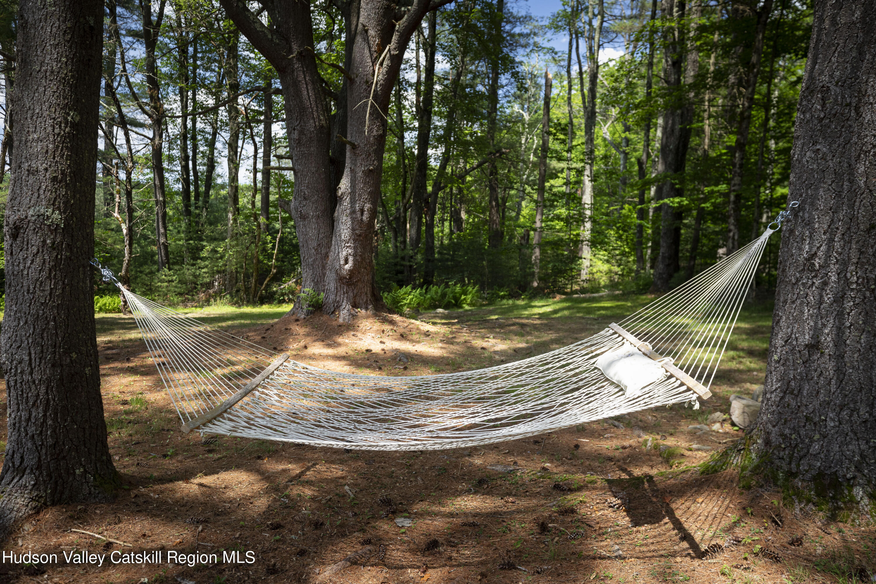 5646 Red Hill Road Claryville, NY 12725 - Photo 10 of 30 a view of a tree in the yard