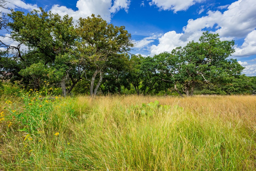 101 Crestline Kerrville, TX 78028 - Photo 41 of 47 a view of a garden