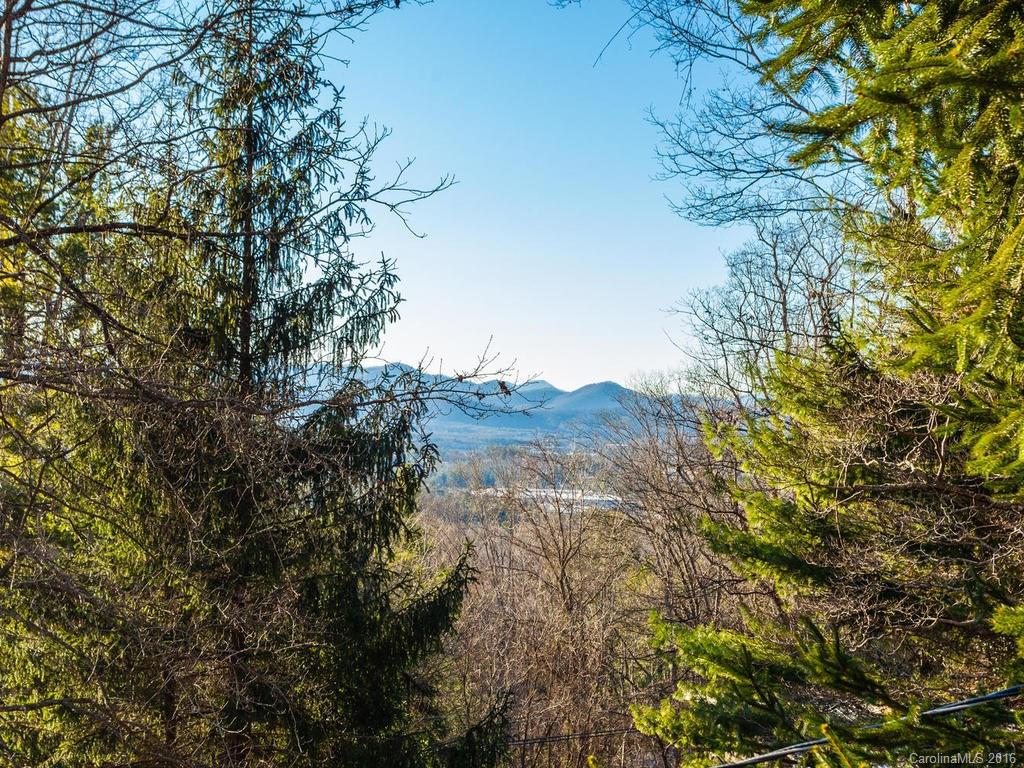 25 Rhododendron Drive Arden, NC 28704 - Photo 2 of 24 Gallery Image 2
