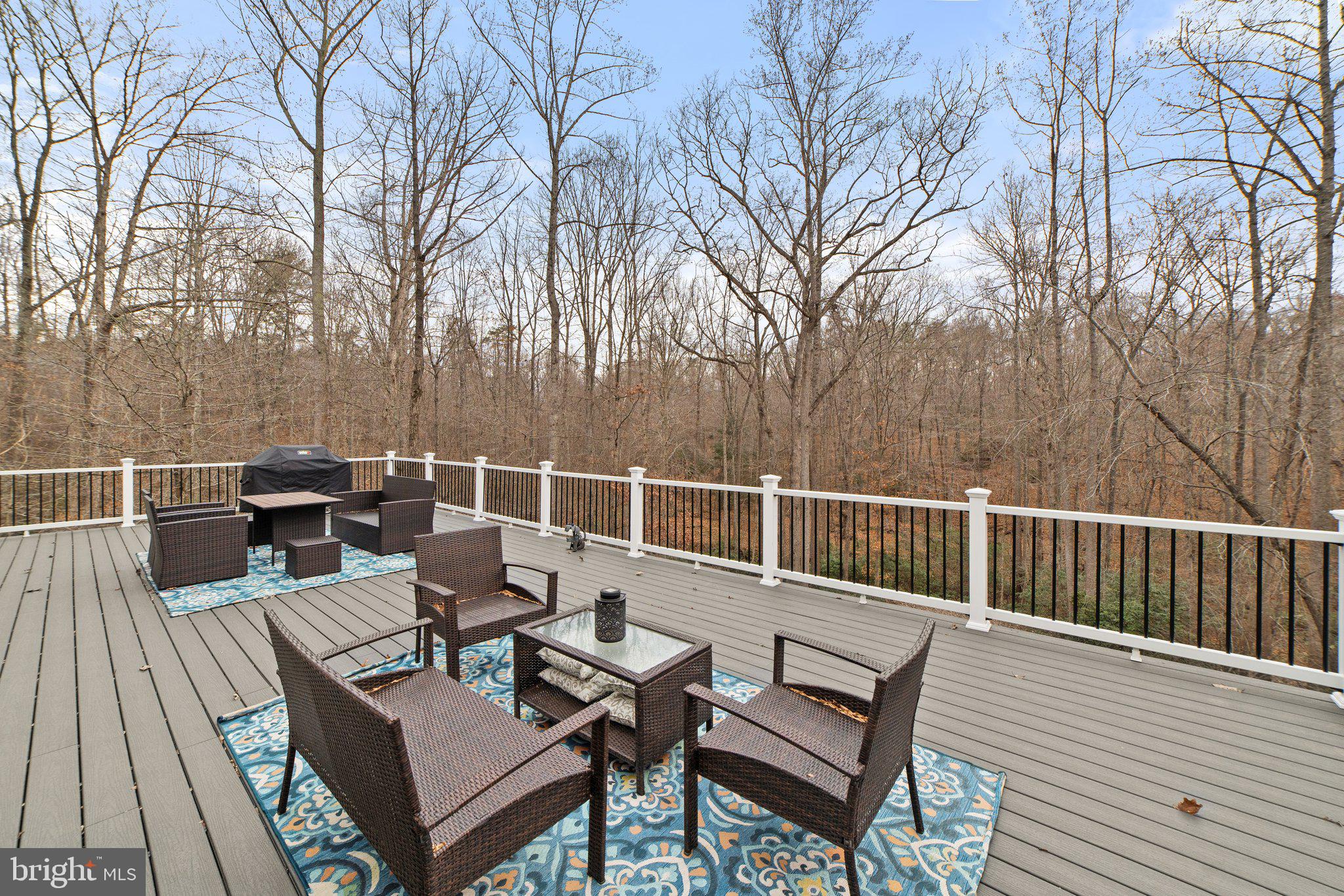 8514 Old Stillhouse Road Rixeyville, VA 22737 - Photo 22 of 24