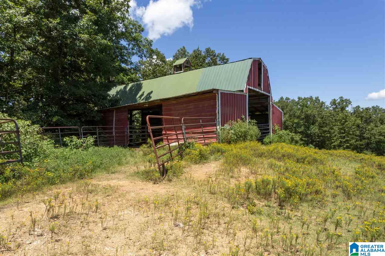 7015 County Road 55 Clanton, AL 35046 - Photo 45 of 49