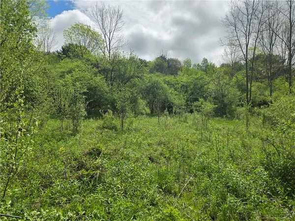 $159,900 | 0 Ruttin Road, Scio, NY 14880