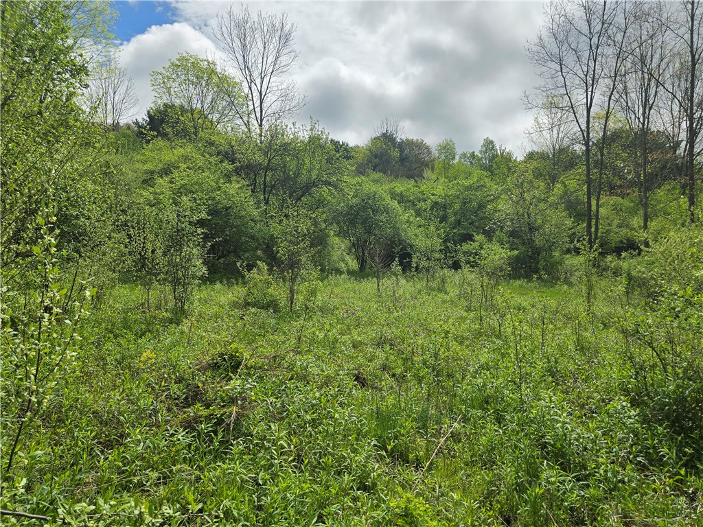 0 Ruttin Road Scio, NY 14880 - Photo 11 of 29