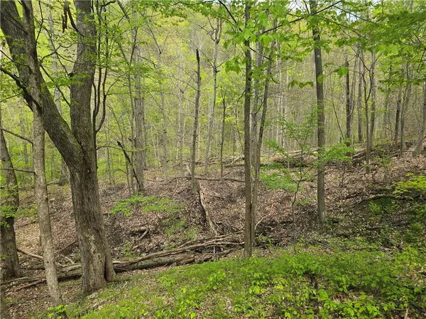 $159,900 | 0 Ruttin Road, Scio, NY 14880