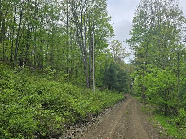 $159,900 | 0 Ruttin Road, Scio, NY 14880