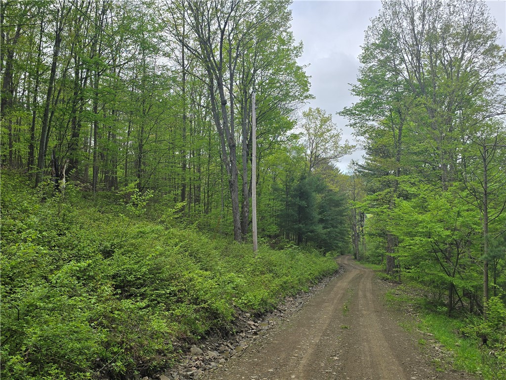 0 Ruttin Road Scio, NY 14880 - Photo 13 of 29