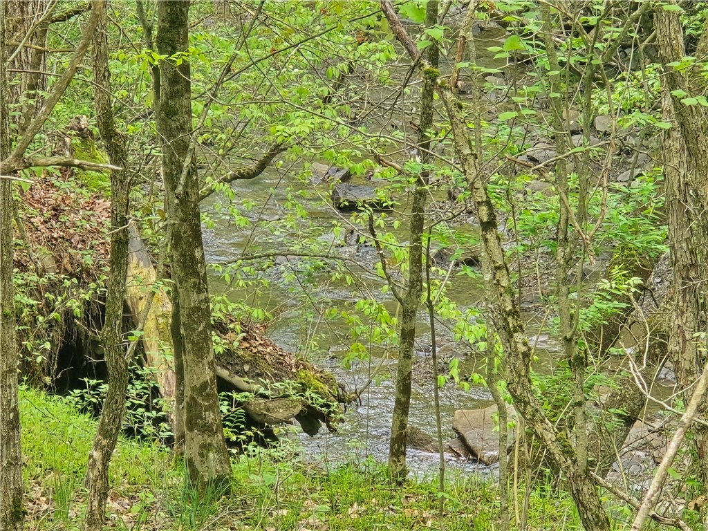 0 Ruttin Road Scio, NY 14880 - Photo 14 of 29