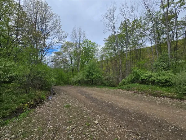 $159,900 | 0 Ruttin Road, Scio, NY 14880