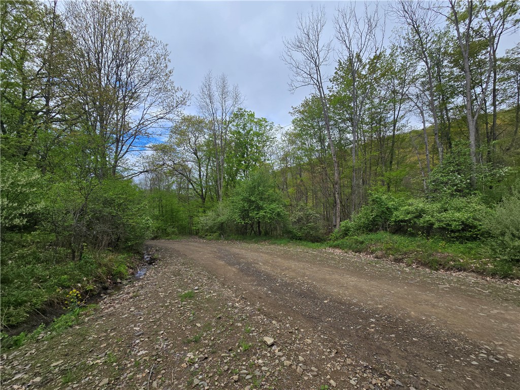0 Ruttin Road Scio, NY 14880 - Photo 15 of 29