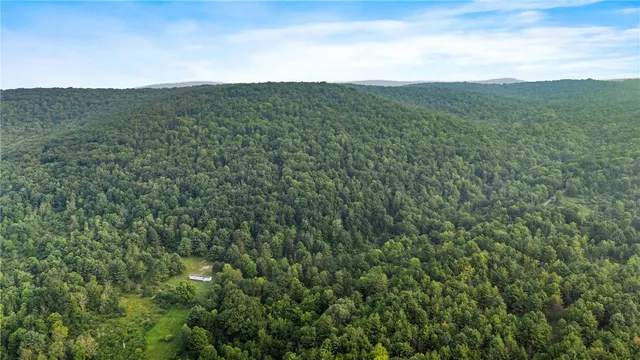 $159,900 | 0 Ruttin Road, Scio, NY 14880