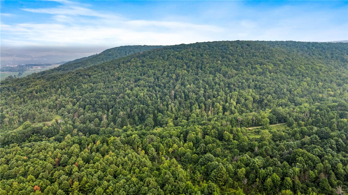 0 Ruttin Road Scio, NY 14880 - Photo 18 of 29