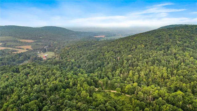 $159,900 | 0 Ruttin Road, Scio, NY 14880