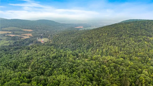 $159,900 | 0 Ruttin Road, Scio, NY 14880