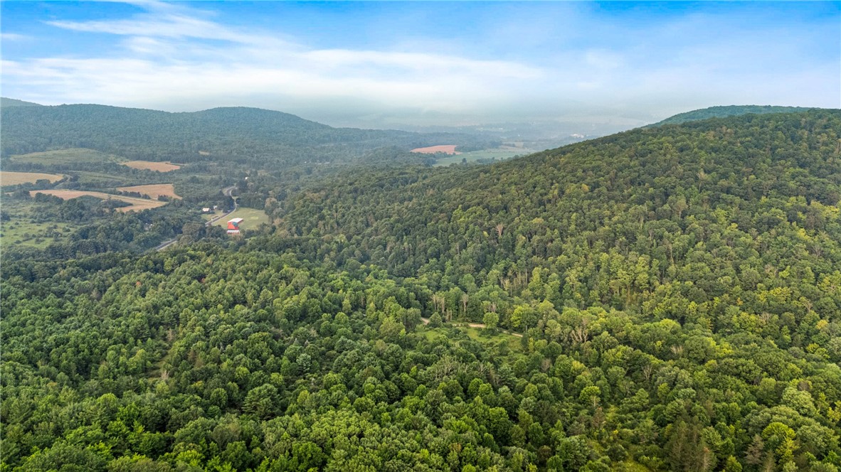 0 Ruttin Road Scio, NY 14880 - Photo 20 of 29