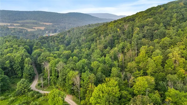 $159,900 | 0 Ruttin Road, Scio, NY 14880