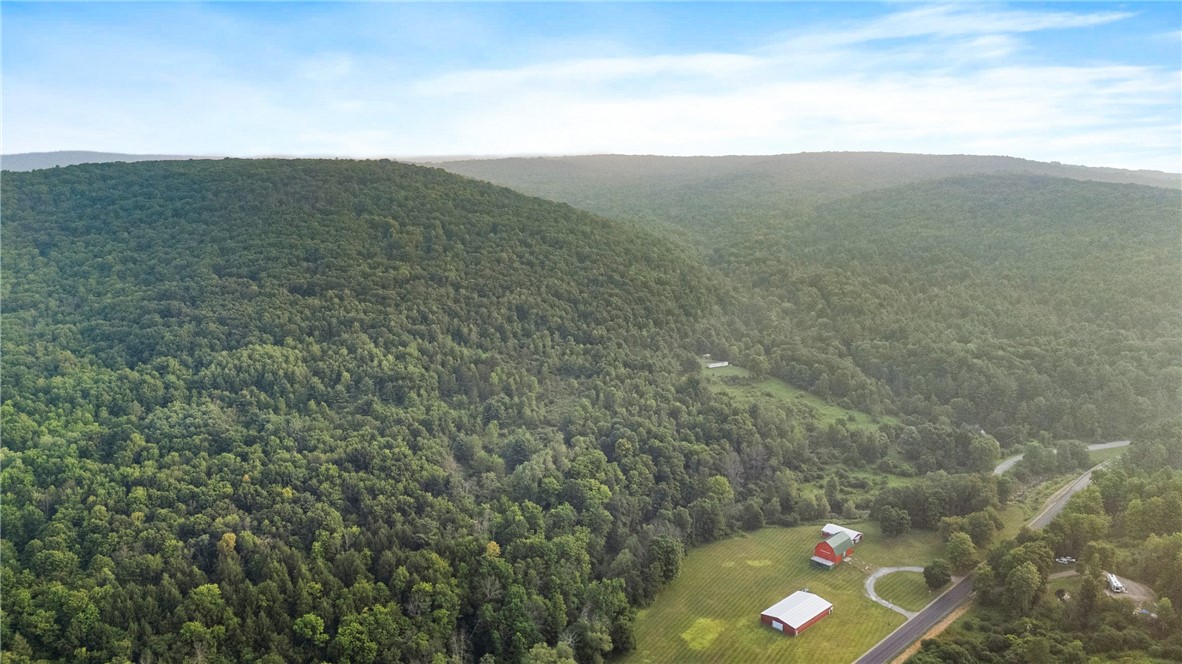 0 Ruttin Road Scio, NY 14880 - Photo 22 of 29