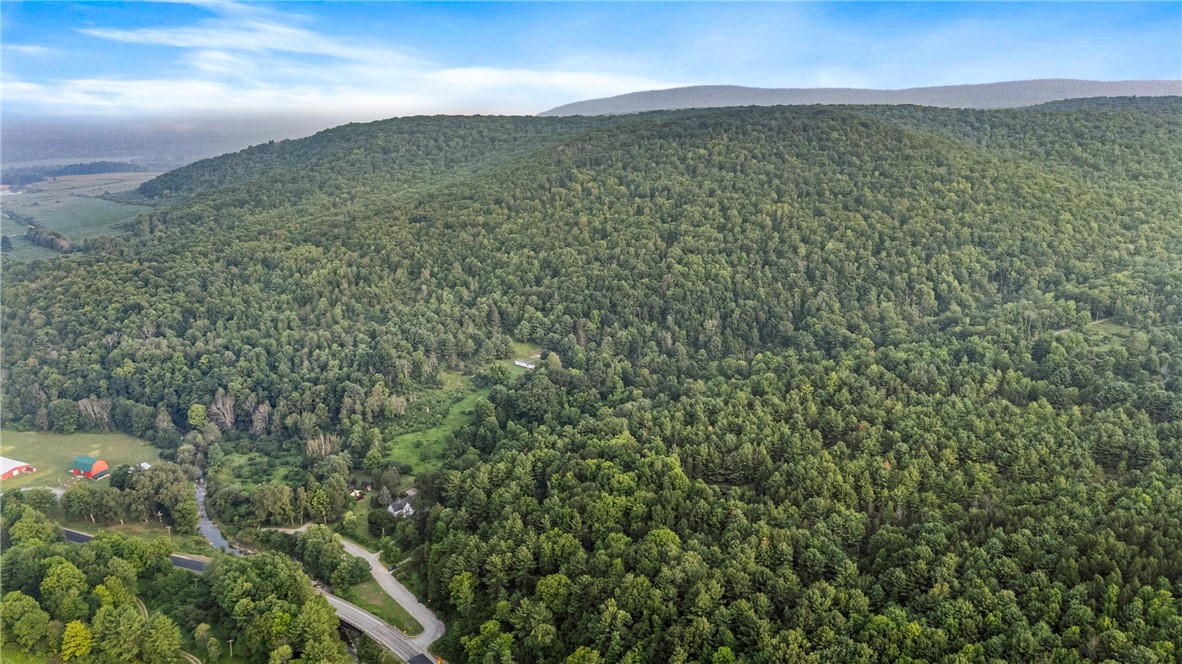 0 Ruttin Road Scio, NY 14880 - Photo 24 of 29