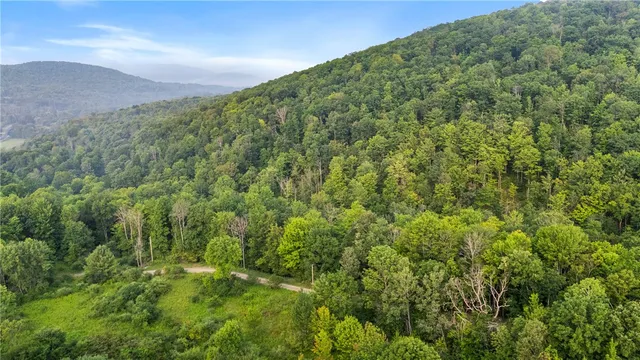 $159,900 | 0 Ruttin Road, Scio, NY 14880