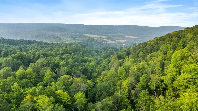 $159,900 | 0 Ruttin Road, Scio, NY 14880