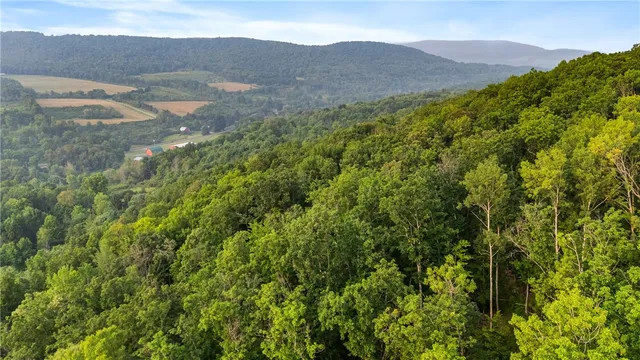 $159,900 | 0 Ruttin Road, Scio, NY 14880