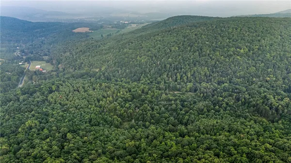 $159,900 | 0 Ruttin Road, Scio, NY 14880