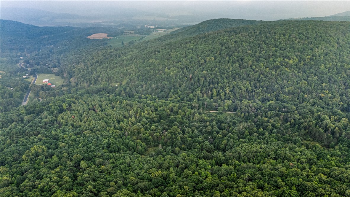 0 Ruttin Road Scio, NY 14880 - Photo 28 of 29