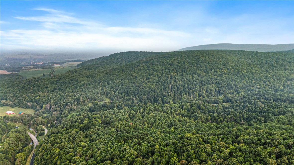 0 Ruttin Road Scio, NY 14880 - Photo 29 of 29